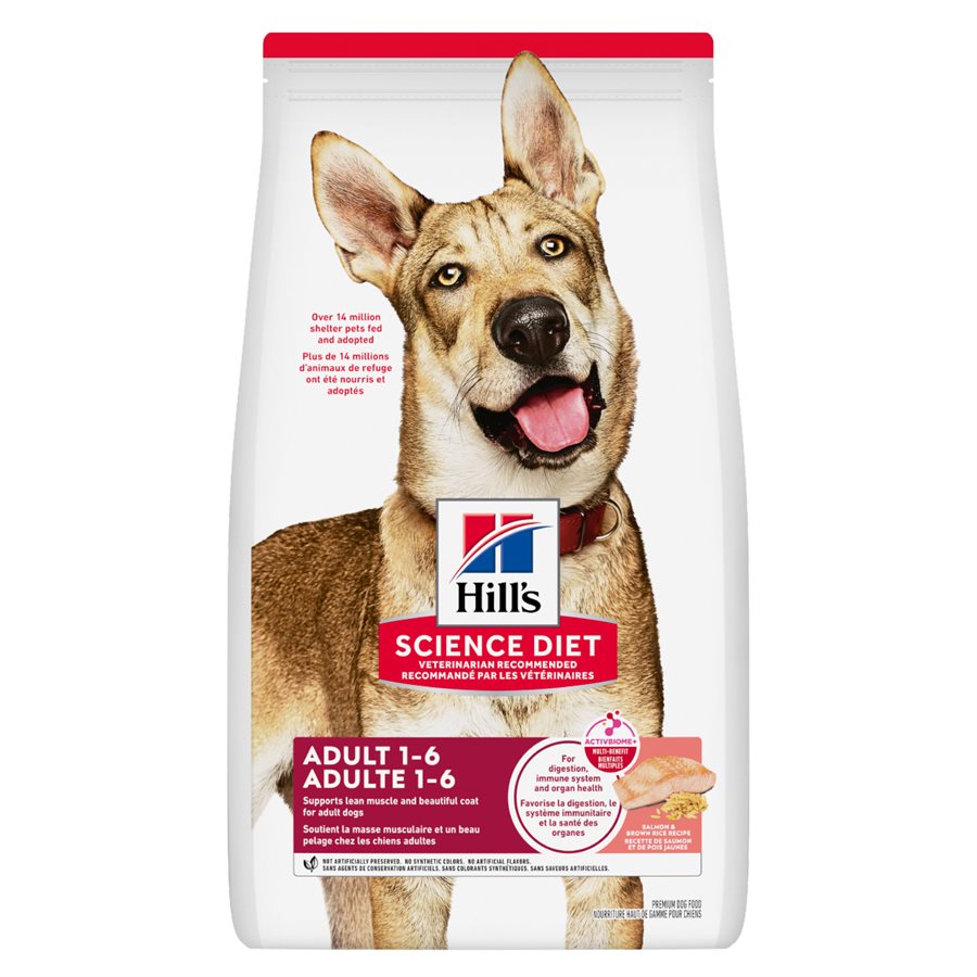 Hill's Science Diet Chien Adulte Saumon & Riz