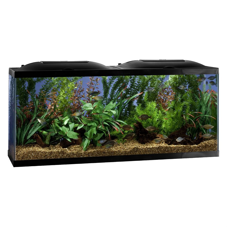 Marineland 55 gallon shop aquarium kit