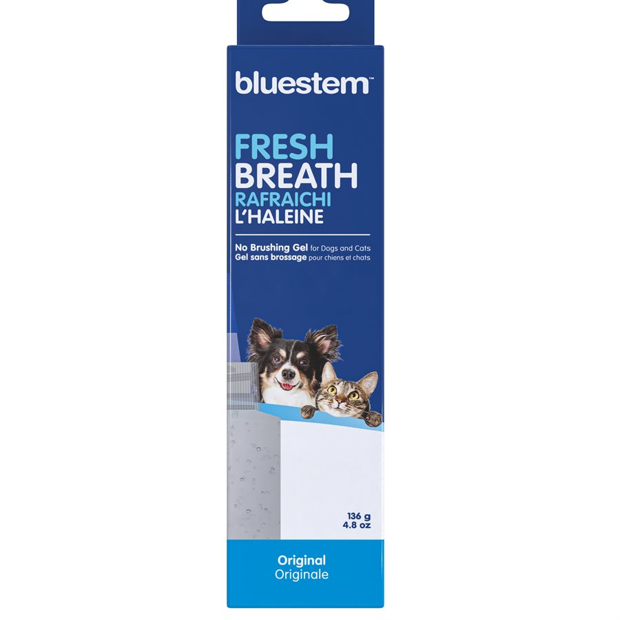 Bluestem dog dental hotsell