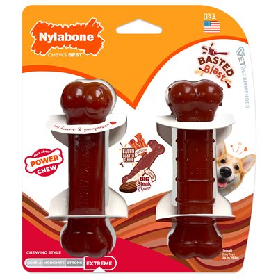 Nylabone Os Durable Saveur de Bacon & Bifteck Arrosé Petit 2MCX