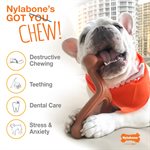 Nylabone Os Durable Original Saveur de Beurre d'Arachides Moyen