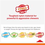 Nylabone Os Durable Original Saveur de Beurre d'Arachides Moyen
