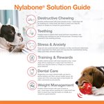 Nylabone Os Durable Original Saveur de Beurre d'Arachides Moyen