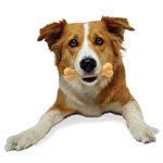 Nylabone Os Durable Original Saveur de Beurre d'Arachides Moyen