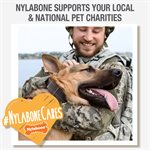 Nylabone Os Durable Original Saveur de Beurre d'Arachides Moyen