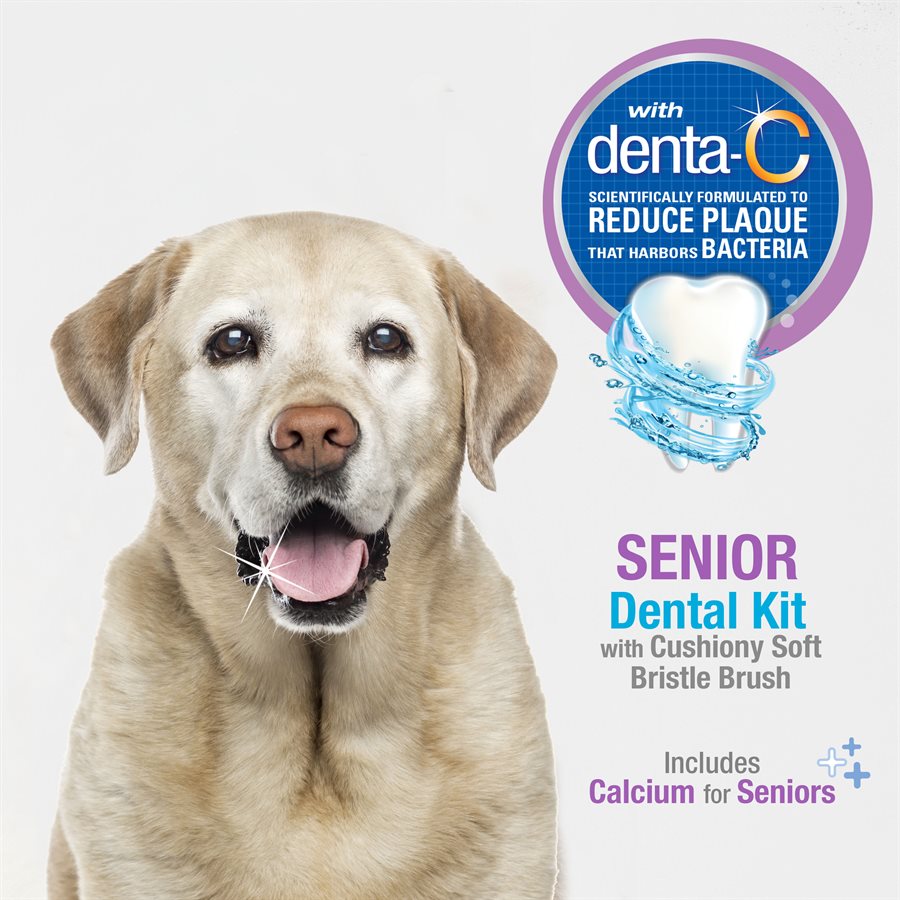 Nylabone Advanced Oral Care Senior Dog Dental Kit with SoftBristle