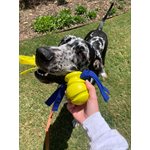 Nylabone Power Play Fling-A-Bounce Large