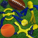 Nylabone Power Play Fling-A-Bounce Large