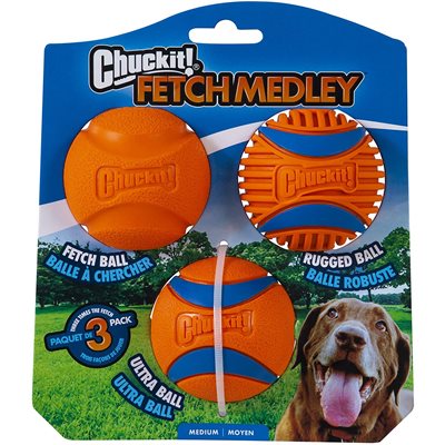 chuck it fetch ball