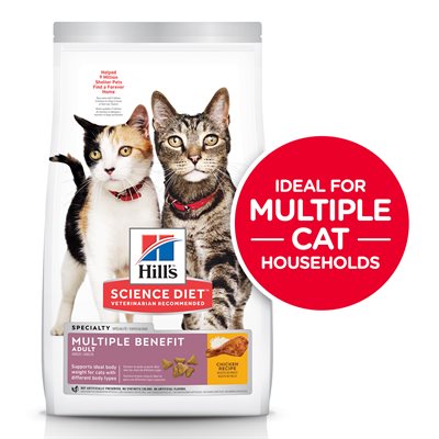 nourriture hill's pour chat avis