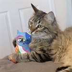 KONG pour Chats « Artz » Kahlo / Picasso Paquet de 2