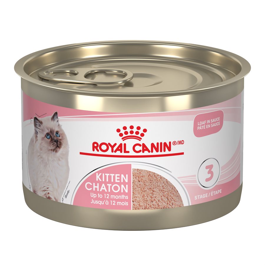 Snapshot of Feline Wet Food With Antioxidants For Kittens Respiratory Health
