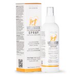 Wellmark Vaporisateur à la Chlorhexidine 237 ml