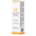 Wellmark Vaporisateur à la Chlorhexidine 237 ml