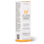 Wellmark Vaporisateur à la Chlorhexidine 237 ml