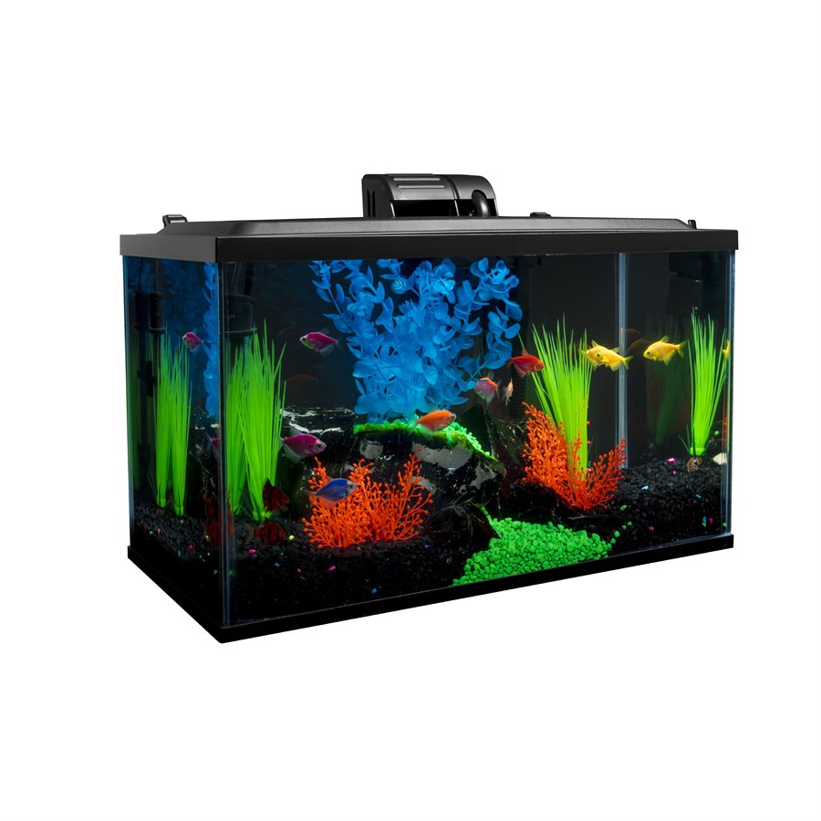 Spectrum GloFish Aquarium Kit 10 Gallon - 226 33121 2 Z