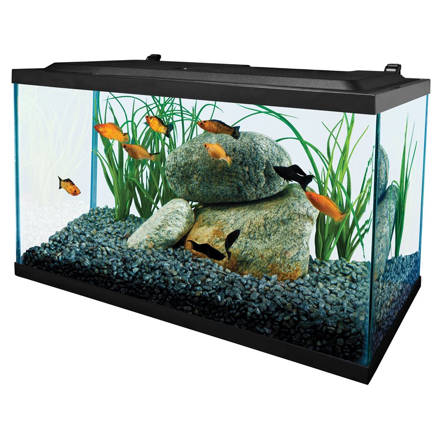 Tetra LED Deluxe Aquarium Kit 10 Gallons