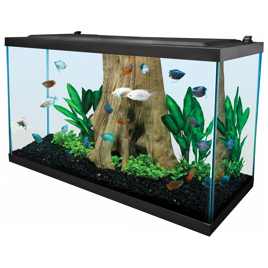 Tetra LED Deluxe Aquarium Kit 29 Gallons