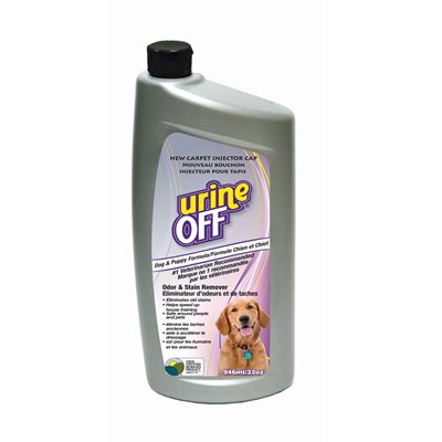 dog urine off carpet