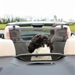 KONG « Travel » Barrière de Protection pour les Sièges