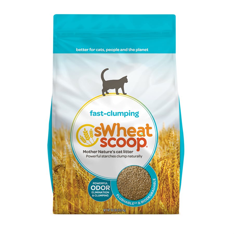 sWheat Scoop Fast Clumping WheatBased Cat Litter 36LB