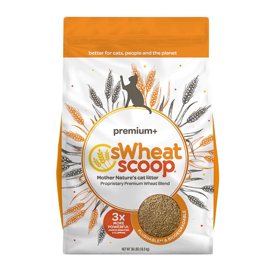 sWheat Scoop Premium+ Clumping WheatBased Cat Litter 36LB