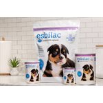 PetAg Esbilac® Milk Replacer Liquid 11oz