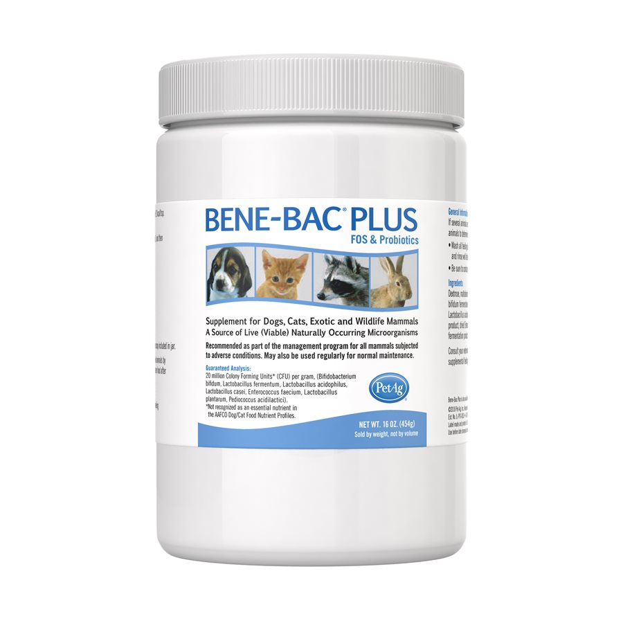 PetAg BeneBac® Plus Probiotic Pet Powder 1LB