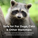 PetAg Bene-Bac® Plus Probiotic Pet Powder 4.5oz