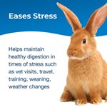 PetAg Bene-Bac® Plus Probiotic Pet Powder 4.5oz